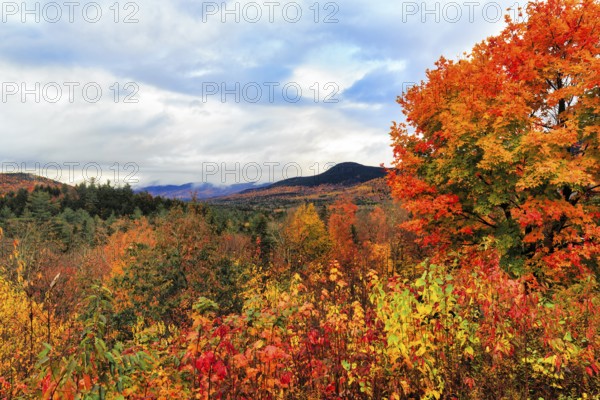 Scenic View, Panoramic View, Fall Leaves, Indian Summer, Fall Weather, Sugar Hill Observation Deck,