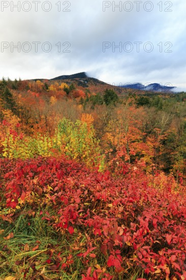 Scenic View, Fall Leaves, Indian Summer, Sugar Hill Observation Deck, Kancamagus Highway, White