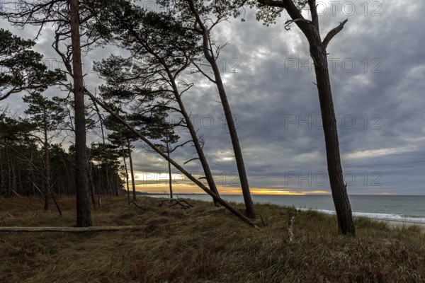 Evening light, sunset, Weststrand Darß, Baltic Sea, Fischland-Darß-Zingst, Western Pomerania Lagoon
