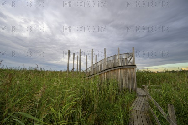 Wooden viewing platform with a view of extensive reeds under cloudy sky, Tåkern, Vadstena,