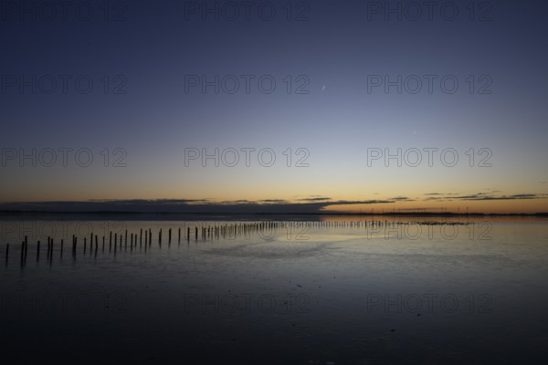 Row of posts over calm water at dusk, deep blue tones, wooden posts, boat dock posts run into the