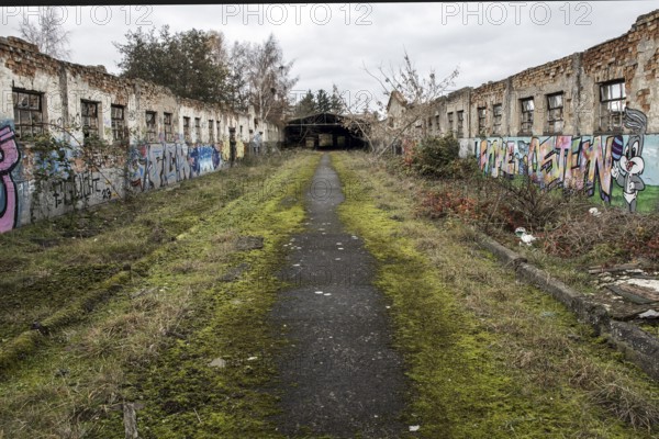 Dilapidated halls with gravity of the dilapidated plant of a former agricultural production