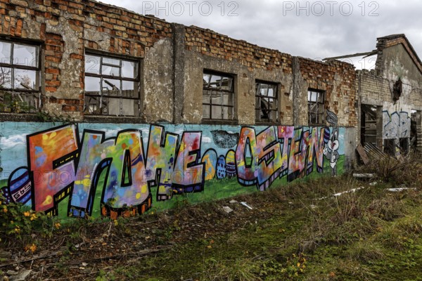 Dilapidated hall with gravity of the dilapidated plant of a former agricultural production