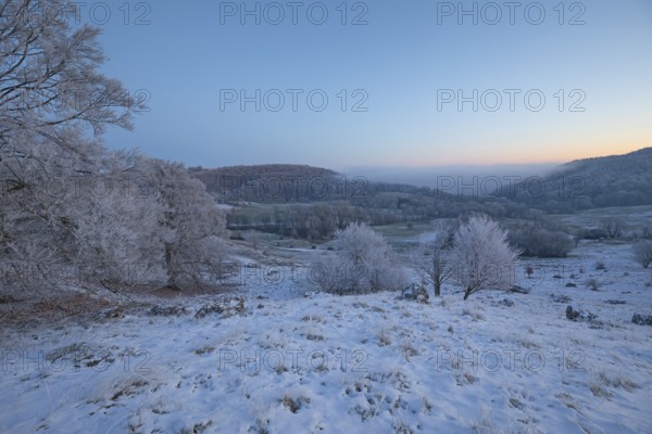 An impressive winter landscape on Randecker Maar near Ochsenwang, where a mystical sea of fog
