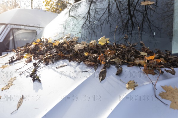 A car parked in a parking lot in Germany is completely covered with autumn leaves at the front. The
