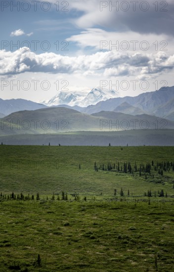 Tundra and glaciated peak of Denali or Mount McKinley, Alaska Range mountainous landscape, Denali