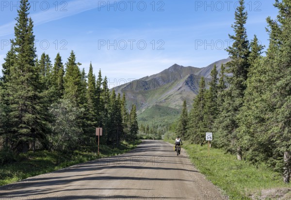 Young woman riding a bicycle on a dirt road through taiga, mountainous landscape, Denali Park Road,