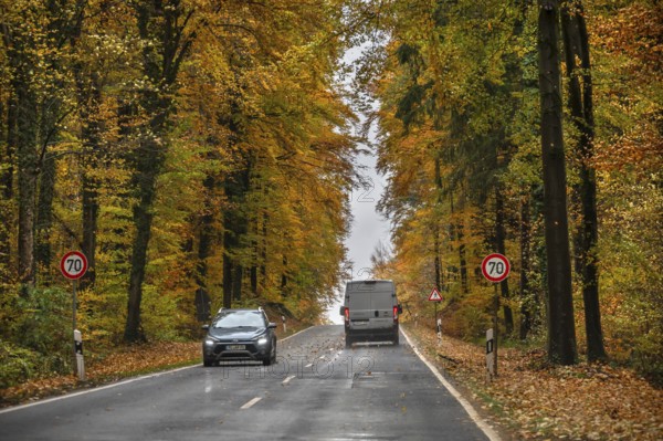 Federal road surrounded by mixed autumn forest, Gräfenberg, Upper Franconia, Bavaria, Germany