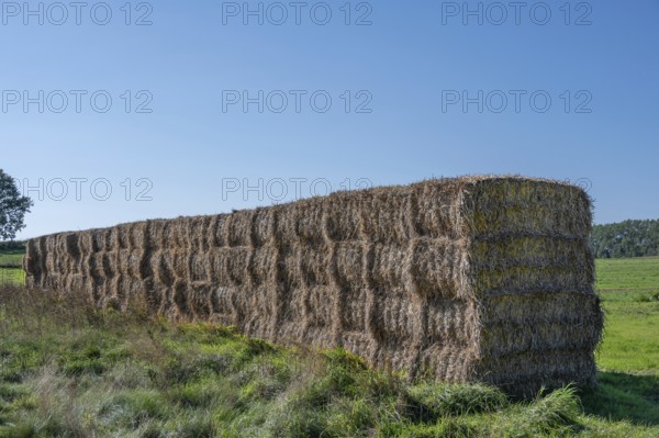 Stacked straw bales at the edge of the meadow, Ahrenshoop, Darß, Mecklenbnurg-Western Pomerania,