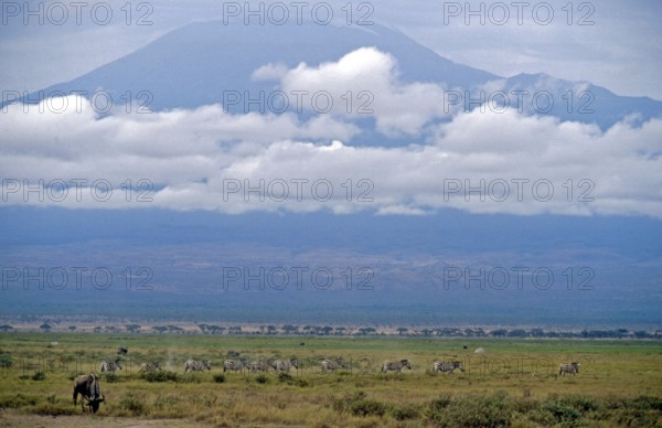 View of Mount Kilimanjaro from Amboseli National Park, Kenya, Africa, June 2000, vintage, retro,