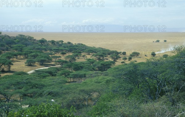 Serengeti, Tanzania, Africa, June 2000, vintage, retro, old, historic