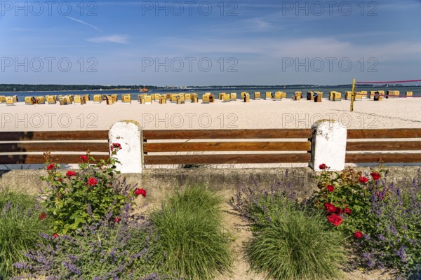 Beach chairs on the beach of Laboe on the Kiel Fjord, Laboe, Schleswig-Holstein, Germany