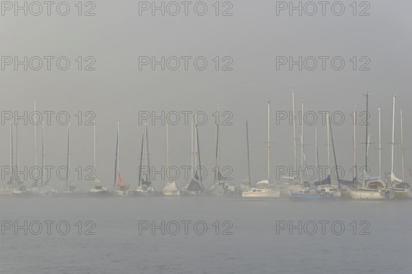 Hennesee, sailboats at boat dock in thick fog, Hennetalsperre, Sauerland-Rothaargebirge nature park