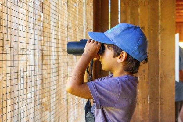 Young boy wearing a blue cap using binoculars observing birds in a bird hide, enjoying wildlife