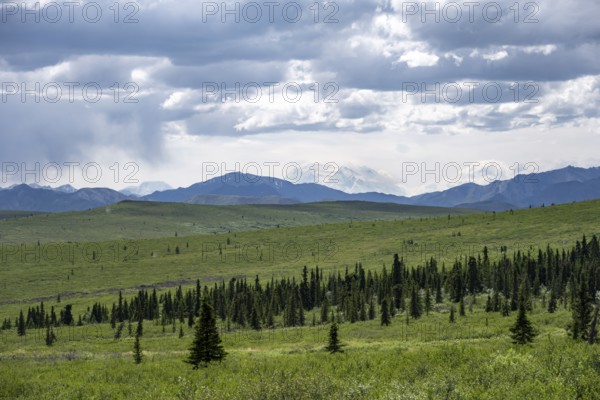 Tundra and mountain landscape with Mount Denali or Mount McKinley in dramatic cloudy skies, Denali