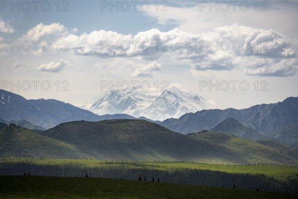 Tundra and glaciated peak of Denali or Mount McKinley, mountainous landscape, Denali National Park,