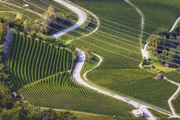 Power lines across vineyards and fields, view from Vercorin, Val d'Anniviers, Valais Alps, Canton