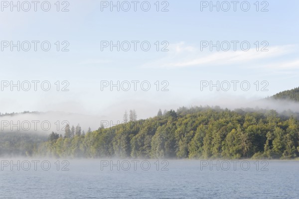 Hennesee, morning fog, blue sky, Hennetalsperre, Sauerland-Rothaargebirge nature park Park, North