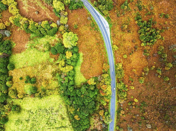 Top Down view of Autumn colours over River Wye and Road A470 from a drone, Llanidloes, Powys,
