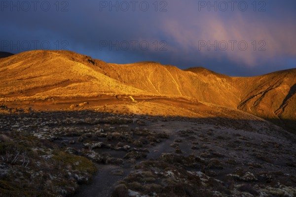 Volcanic landscape, Tama Lake Walk (Tama Lakes Track), evening light, sunset. Tongariro National