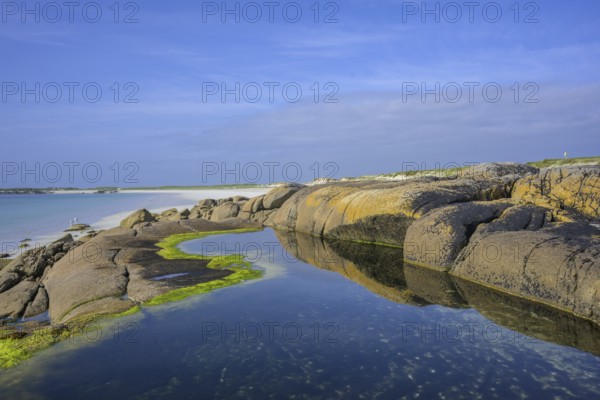 Tide pools with green algae on Gurteen Beach, Roundstone, County Galway, Ireland