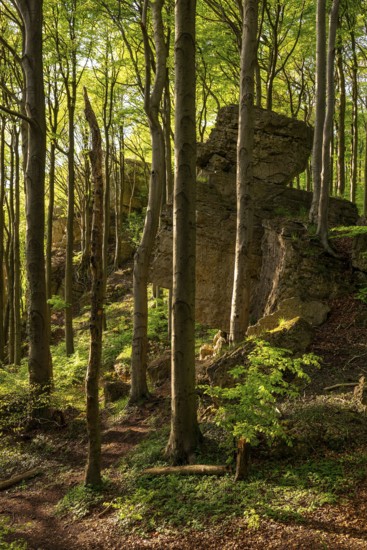 Idyllic deciduous forest surrounds the mighty cliffs of Ith, atmospheric scene in spring,