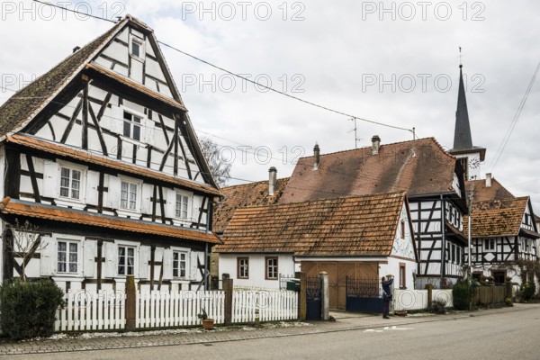 Village made entirely of half-timbered houses, Seebach, Alsace, Bas-Rhin department, France