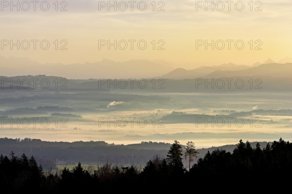 View from Horben of the Reuss Valley covered in fog, behind it the Glarus Alps in the light of the