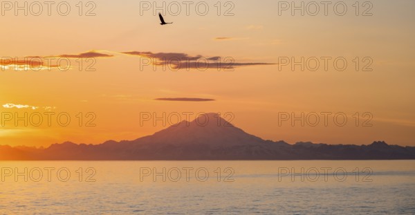 View over Cook Inlet to white mountain peaks of Mount Redoubt, at sunset, picturesque golden light