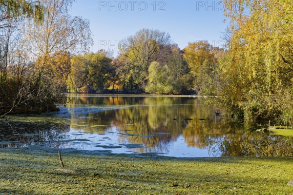 Autumn colors on Sandbrack, a lake in the Kirchwerder district of Hamburg. Fünfhausen, Kirchwerder,