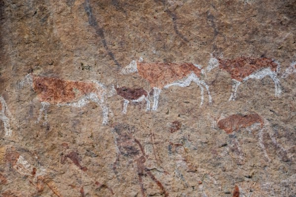 White Lady Rock Painting, White Lady Painting, Depiction of Hunters and Animals, Rock Paintings in