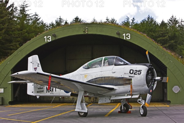 T-28 Trojan, training aircraft, piston-engined low-wing aircraft, American origin, aircraft,