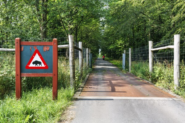 Cycle path through wooded area, fence and cattle grid, distinctive warning sign with bison symbol,