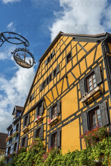 Decorated timber-frame house in the historic old town of Riquewihr, Ellsass