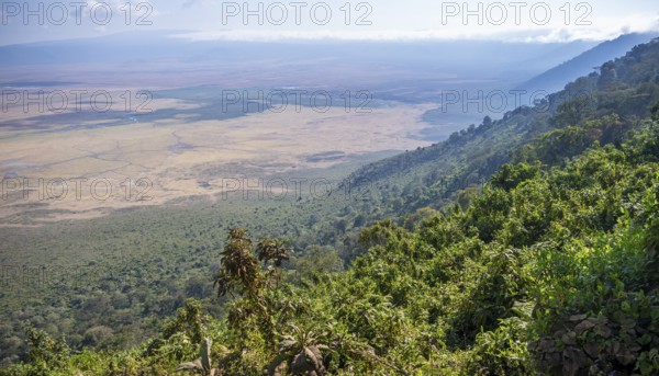 View of Ngorongoro Crater, Crater Viewpoint, Forest and Savanna Landscape, Ngorongoro Conservation
