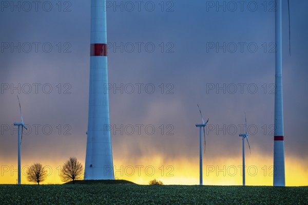 Königshovener Höhe onshore wind farm, on the A44 motorway near Bedburg, in front of the Jackerath