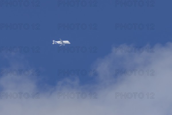 Airbus A330-743L Beluga XL cargo jet aircraft flying in a blue sky with white clouds, England,