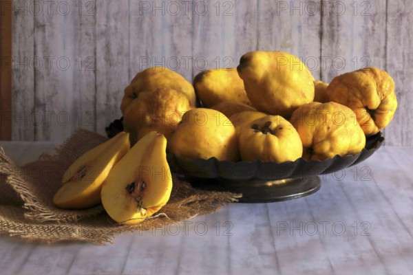 Picturesque still life with quinces, autumn, Germany
