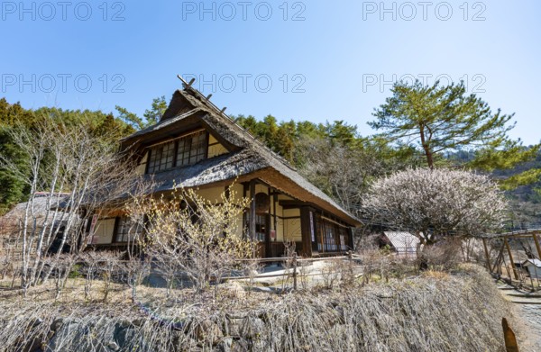 Iyashinosato open-air museum, old Japanese village with traditional houses, Fujikawaguchiko, Saiko,