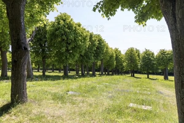 Tombstones on the Gottesacker, the historic cemetery of the Herrnhuter Brüdergemeinde, Herrnhut,