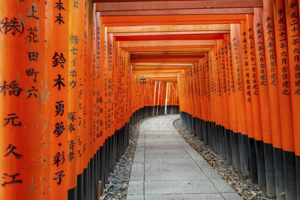 Walk through hundreds of red traditional torii gates, Fushimi Inari Taisha, Shinto Shrine, Fushimi