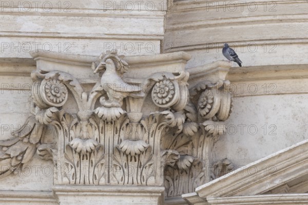 Feral dove (Columba livia) adult bird on a building with a peace dove bird sculture in the city of