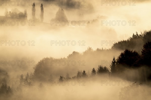 Sunrise, typical landscape in autumn with vineyards and fog, South Styrian hills, South Styrian