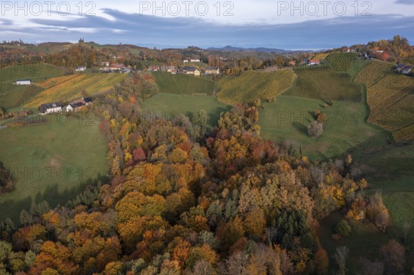 Aerial view, typical landscape in autumn with vineyards, South Styrian hills, South Styrian wine