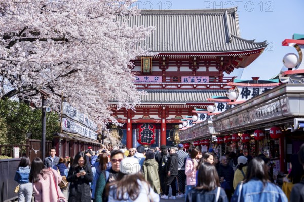 View of numerous visitors on Nakamise-dori shopping street with Hozomon Gate of Asakusa Shrine or