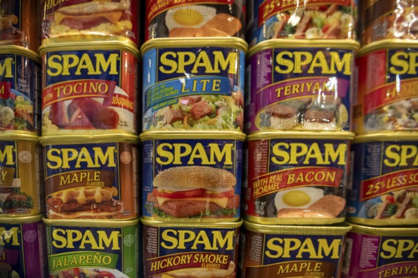 Austin, Minnesota - The SPAM Museum. SPAM is a lunch meat made of pork and ham, canned by Hormel