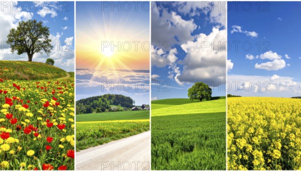 Collage of spring and summer landscapes, blooming flowers, green meadows and trees, hilly landscape