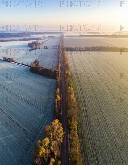 Bird Eye Perspective of Frost Covered Farmland. Seasonal Agricultural Scenery, winter and autumn