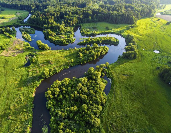 Ecology and environment concept. Green wilderness nature from above. Aerial view on meandering