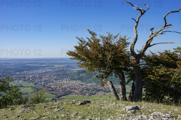 Picturesque scenery on the eaves of the Swabian Jura near Olgafels on Rossfeld in Metzingen-Glems,